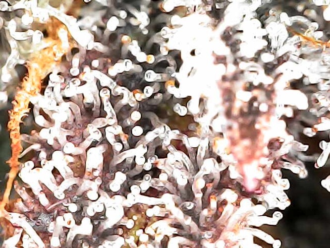 Growreport Bild 6