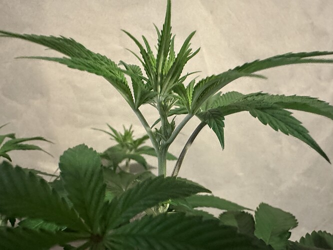 Growreport Bild 18