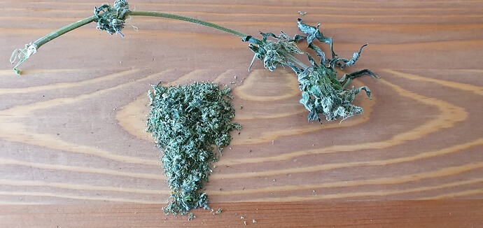 Growreport Bild 3