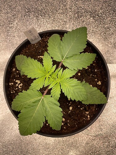 Growreport Bild 16