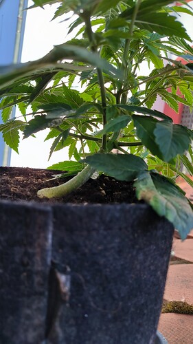 Growreport Bild 6