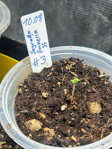 Growreport Bild 13