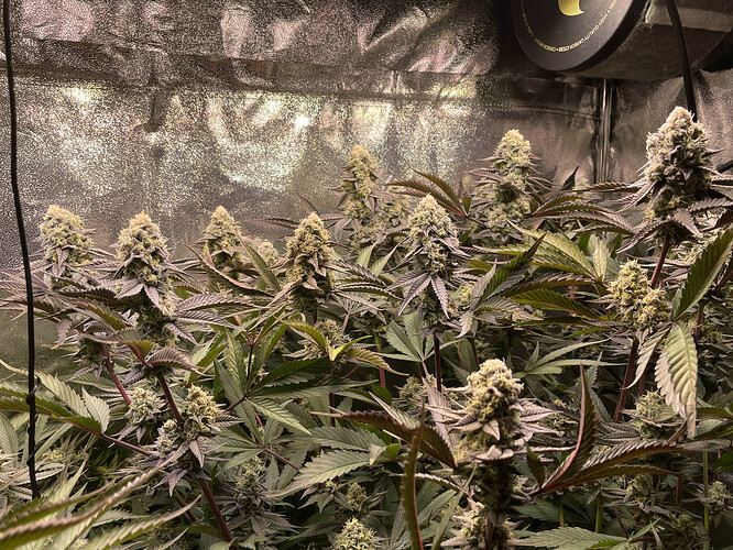 Growreport Bild 16