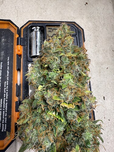 Growreport Bild 9