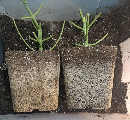 Growreport Bild 20