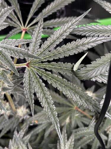 Growreport Bild 22
