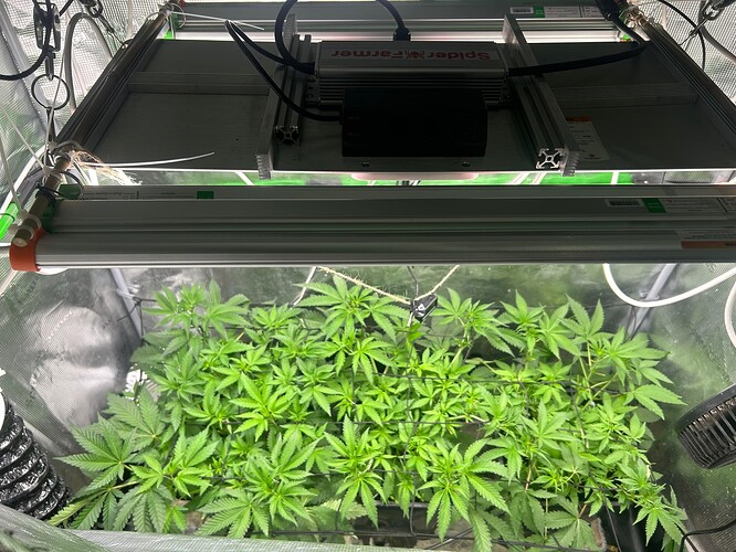 Growreport Bild 16