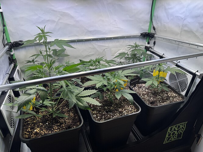 Growreport Bild 16