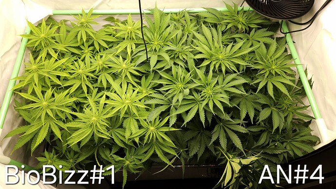 Growreport Bild 14