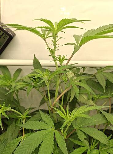Growreport Bild 19