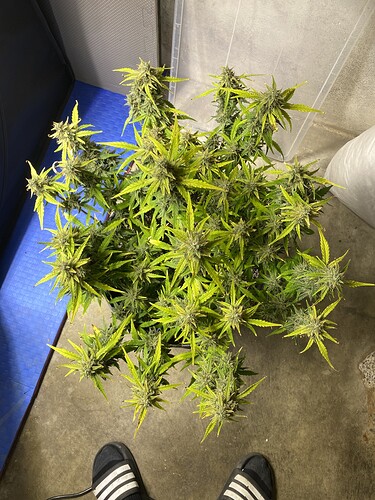 Growreport Bild 11