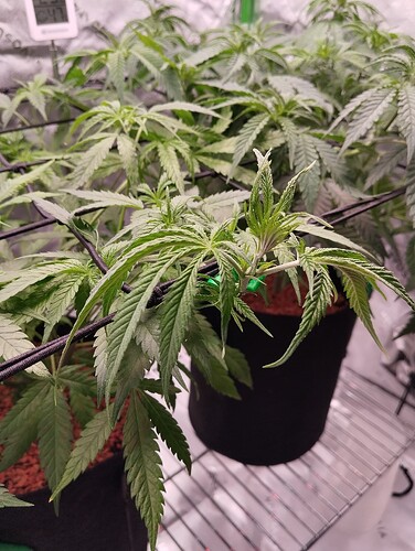 Growreport Bild 4