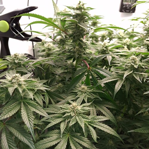 476410825_122166485474293599_1334836784941677054_n