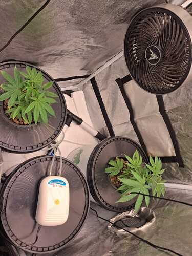 WhatsApp Image 2026-02-02 at 10.58.46 (3)