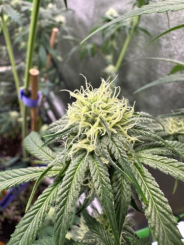 Growreport Bild 23
