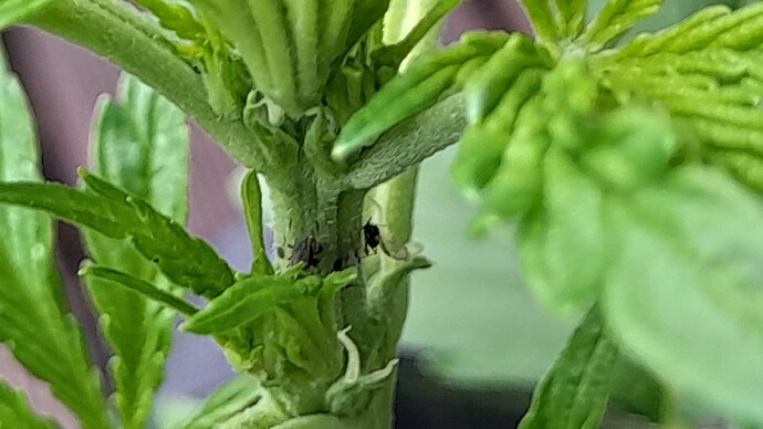 Growreport Bild 19