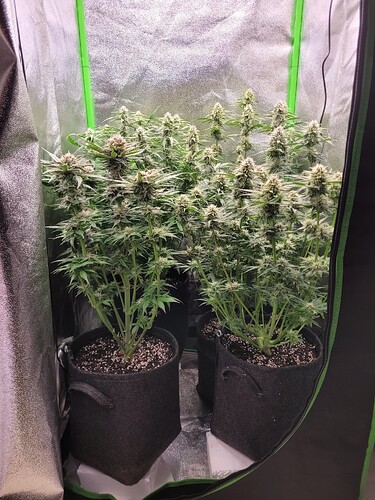 Growreport Bild 17