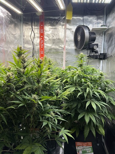 Growreport Bild 6