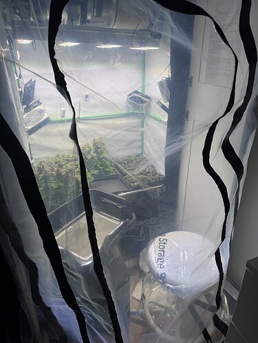 Growreport Bild 9