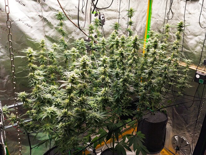 Growreport Bild 5