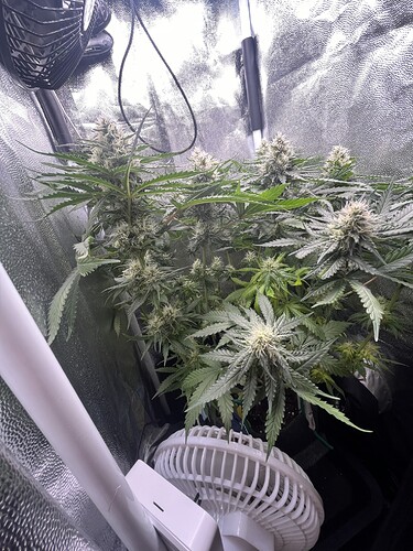Growreport Bild 15