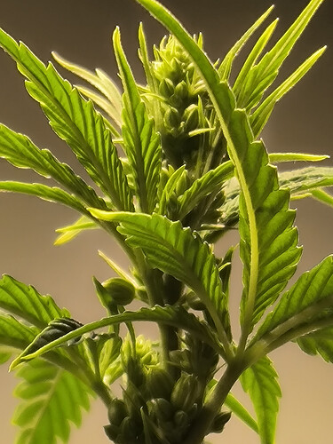 Growreport Bild 12