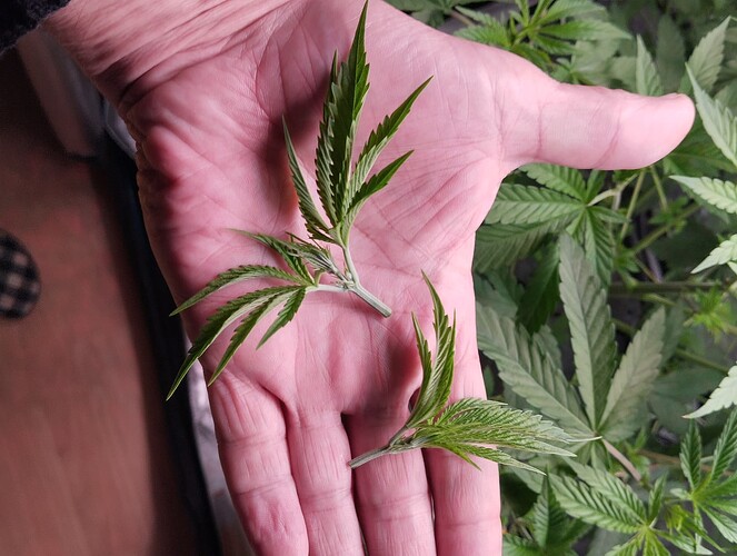 Growreport Bild 10