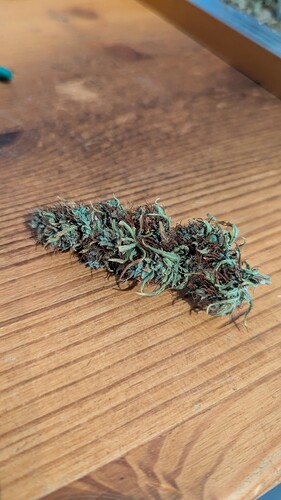 Growreport Bild 5