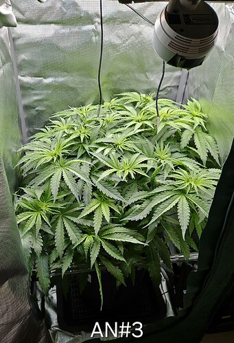 Growreport Bild 12