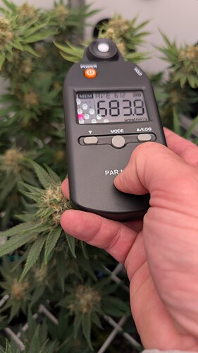 Growreport Bild 12
