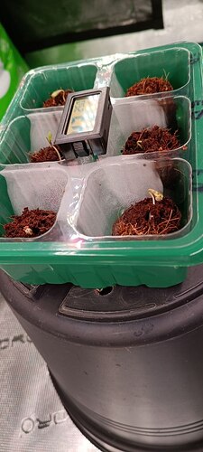 photo_2026-04-01_18-57-38