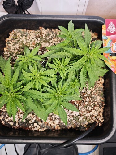 MVIMG_20251012_210453