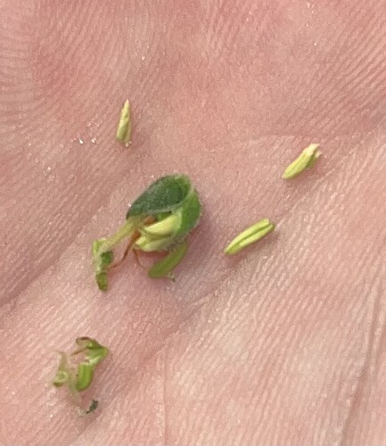Growreport Bild 2