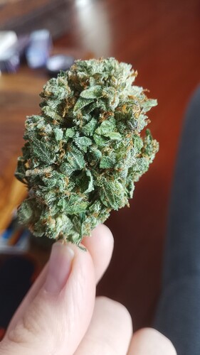 Growreport Bild 20