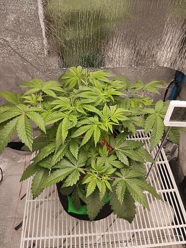 Growreport Bild 23