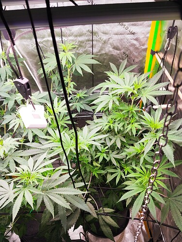 Growreport Bild 5