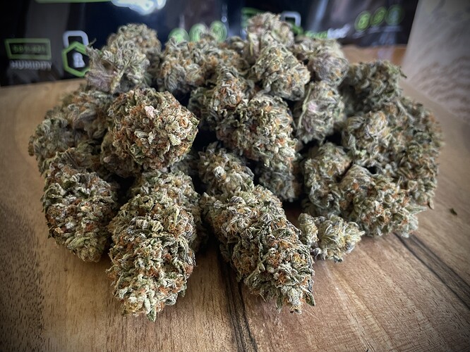 Growreport Bild 1