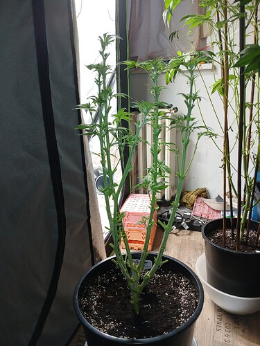Growreport Bild 10