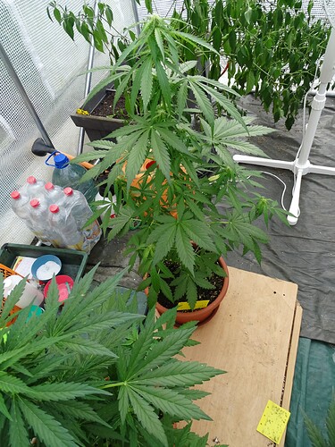 Growreport Bild 14