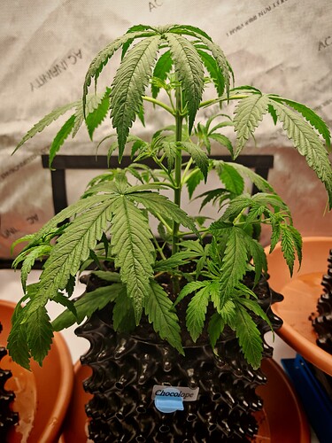 Growreport Bild 14