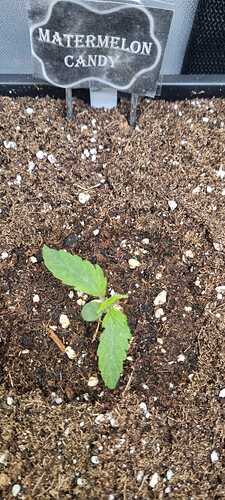 WhatsApp Image 2025-11-24 at 14.52.50 (4)