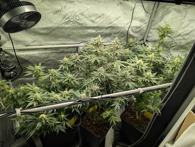 Growreport Bild 3