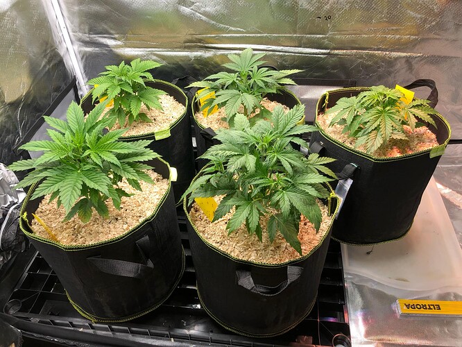 Growreport Bild 14