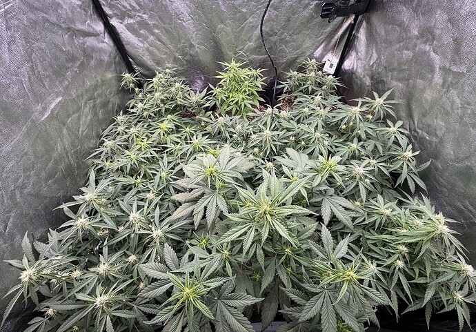 Growreport Bild 7