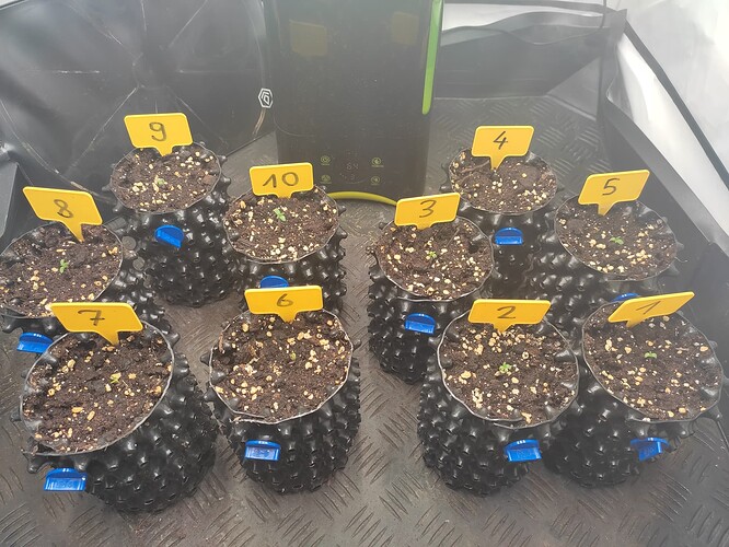 Growreport Bild 9