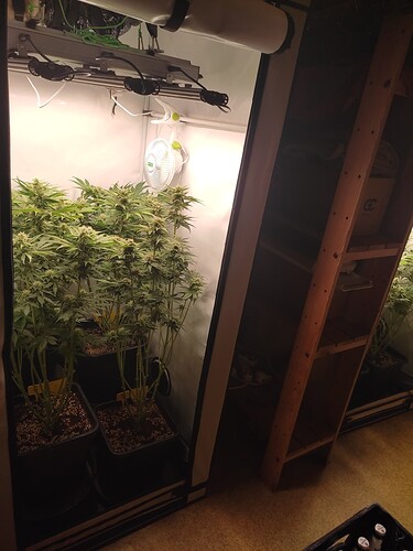 Growreport Bild 11