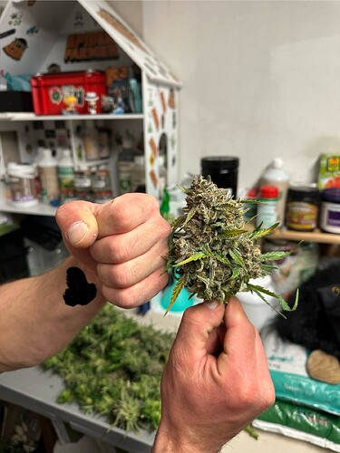 Growreport Bild 45