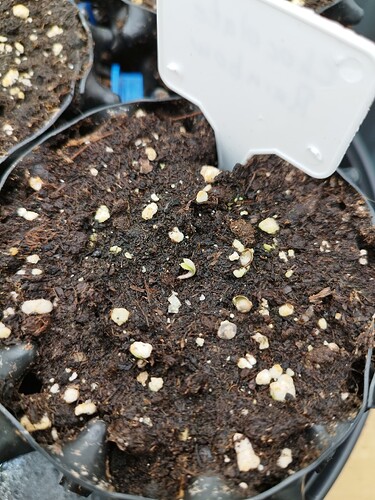 Growreport Bild 17
