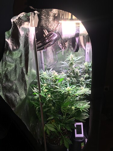 Growreport Bild 4