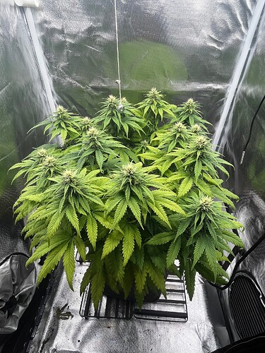 Growreport Bild 11